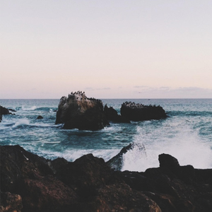 bestiaⅠity3D性狼交m
